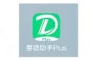 ldzs是什么意思网络用语